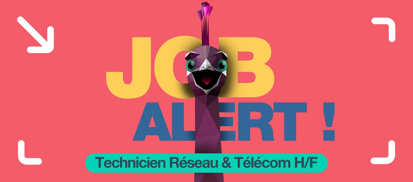JOB ALERT : Technicien Réseaux & Télécoms (H/F)