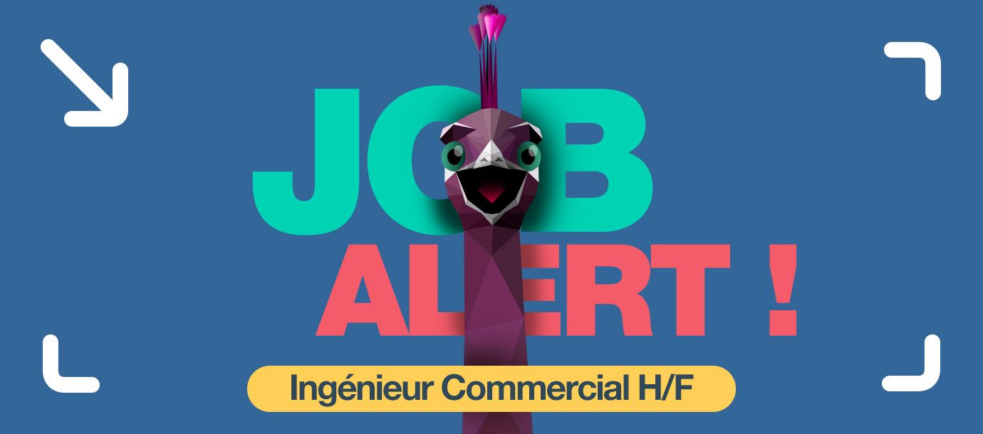 JOB ALERT : Ingénieur Commercial (H/F) CDI Lyon